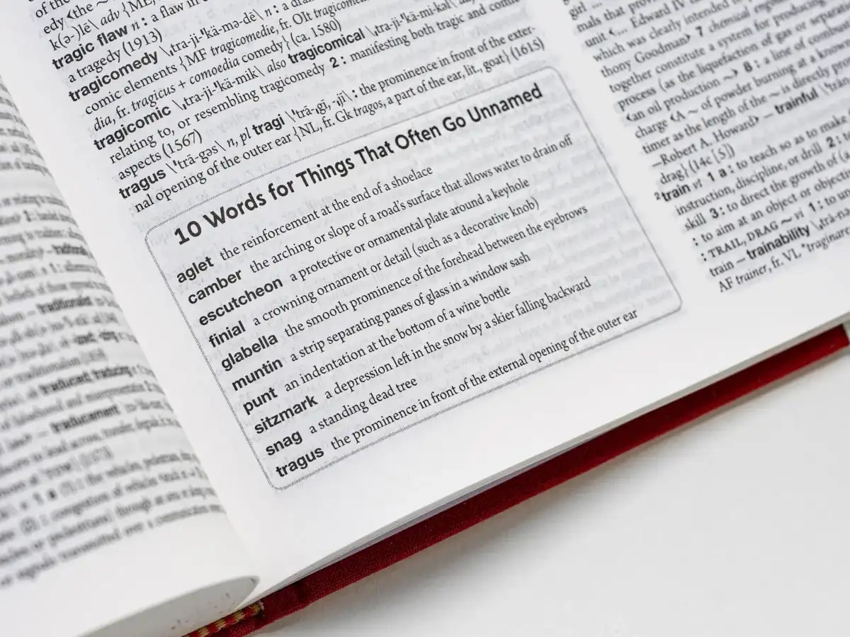 Merriam-Webster adds 1,400 new words in 2026: Vibe coding, meme coin, parasocial, AGI, Sunday scaries, trash panda and Mandela Effect explained 