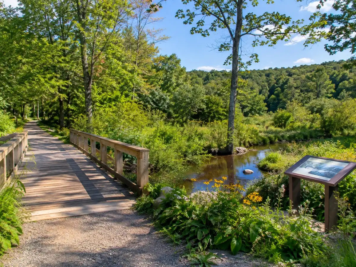 In 1997, actor Paul Newman donated 7.5 acres to Connecticut's Westport to stop development. 14 years later, his land formed part of the 39-acre Newman-Poses Nature Preserve, now public land 