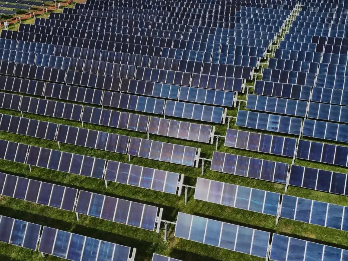 Trump administration illegally cancelled $7 billion solar programme, US judge rules 
