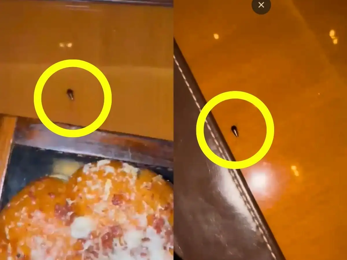 Cockroach found at JW Marriott Mumbai restaurant ruins Fortis cardiologist Dr Ashok Seth’s dinner, but he is thankful he is inside Tukaram Mundhe’s territory 