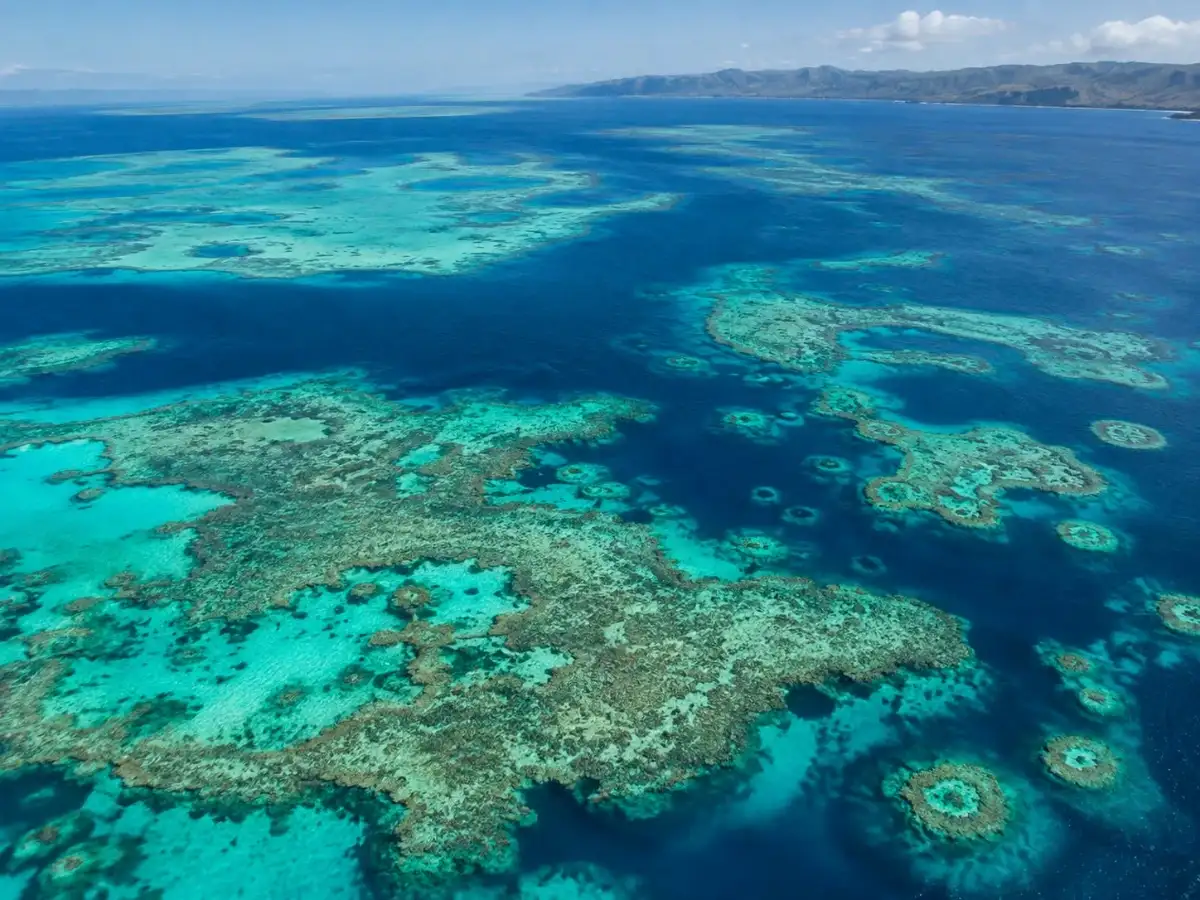 In 2026, Australian researchers combined satellite images and desktop mapping to uncover more than 1,000 previously uncharted coral reefs 