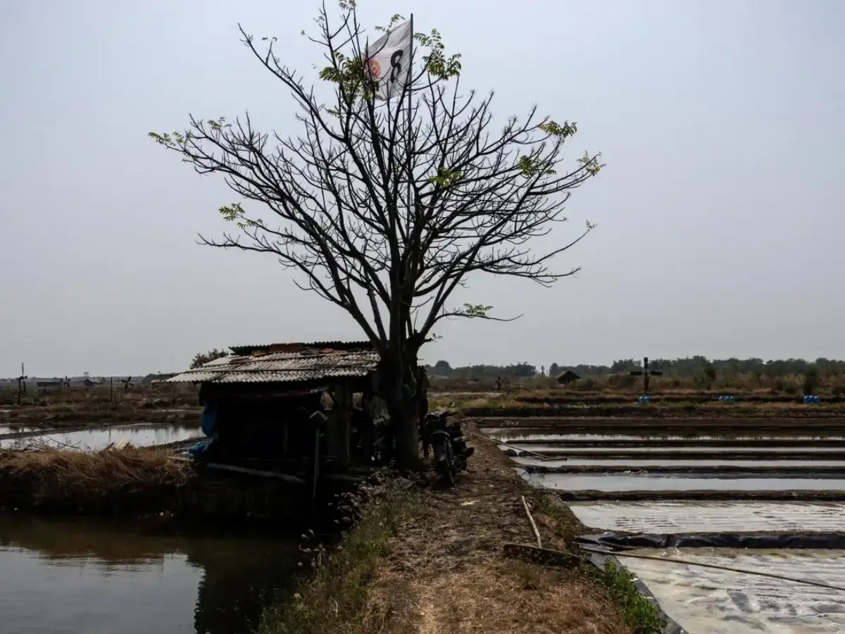 'Super' El Nino could bring 4.5 lakh excess deaths, India among vulnerable: Report 