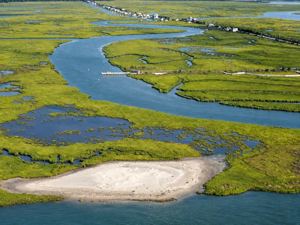In 2014, New Jersey reused 7,000 cubic yards of dredged sand at Ring Island; the new nesting ground was later used by 4 threatened or at-risk shorebird species 