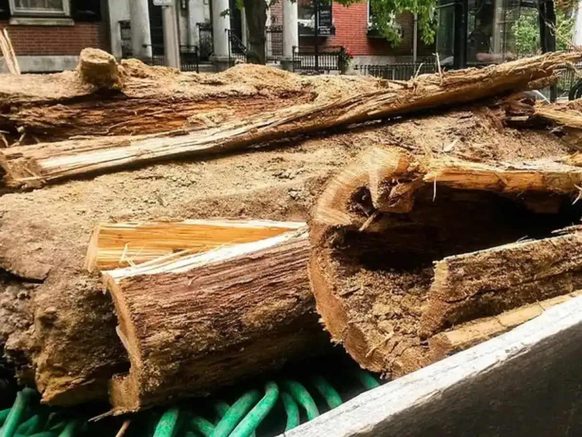 In 2017, Philadelphia crews digging up Spruce Street hit water mains made of bored logs, laid around 1811; the city's last wooden pipe left service in 1858 