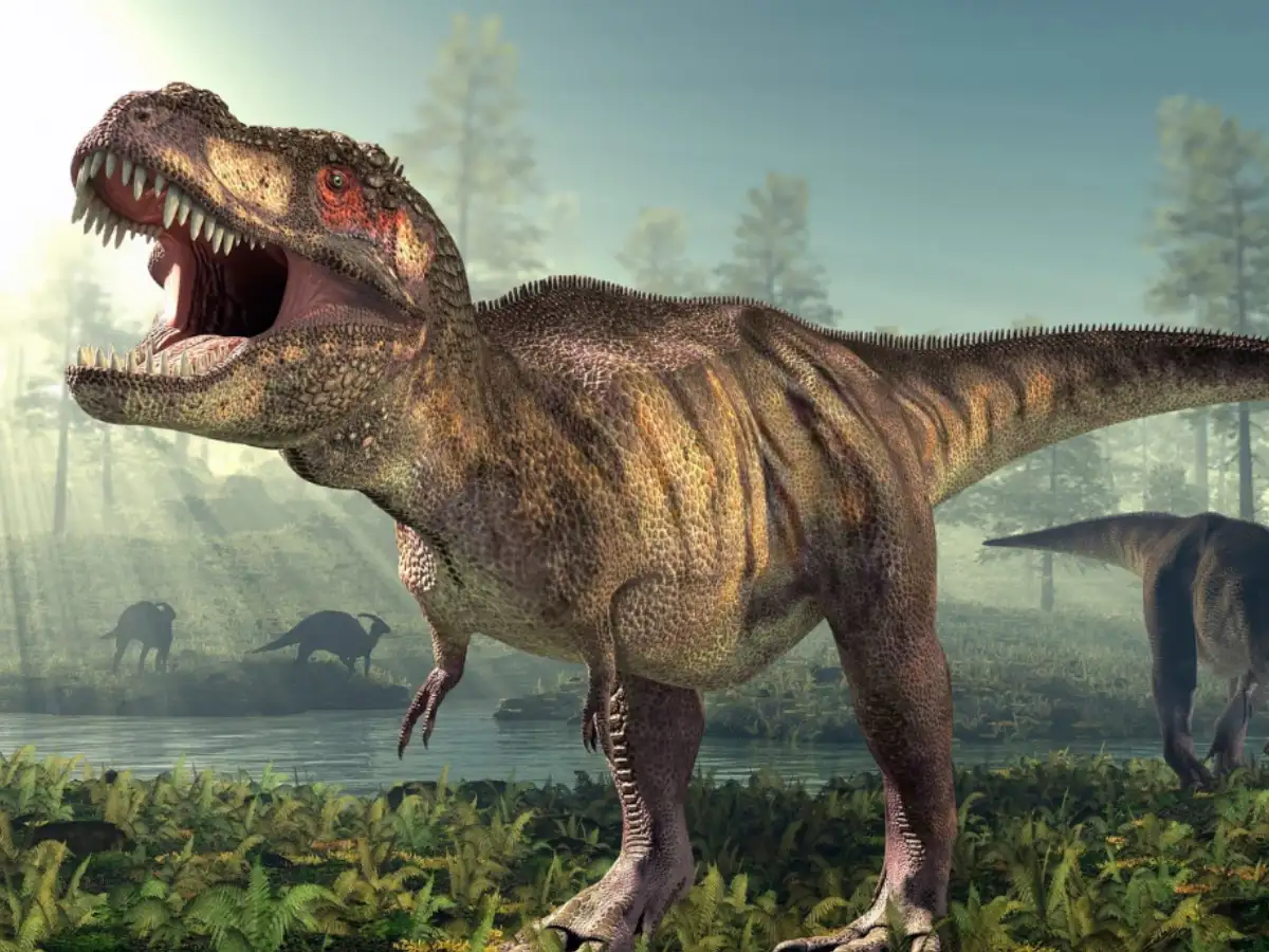 Scientists found something T. rex bones could never show: First known trackway reveals how the dinosaur actually walked 66.5 million years ago 