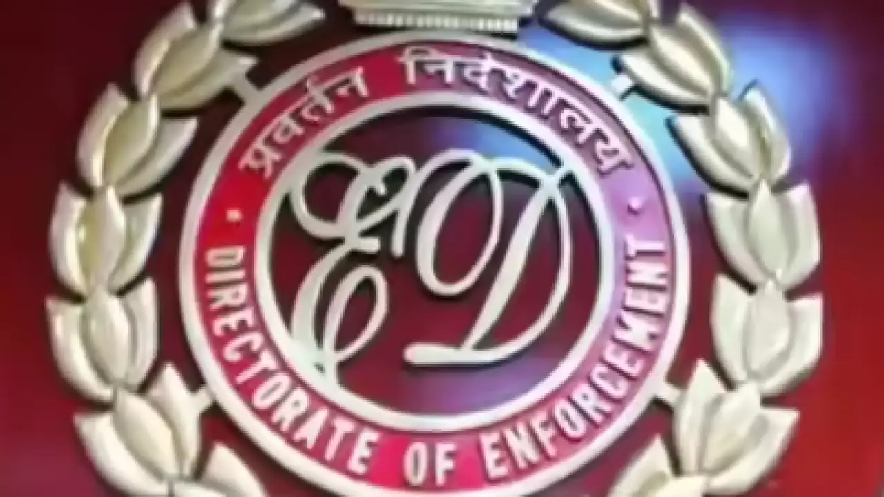 McNally Bharat: ED probes 'backdoor return' of old power network via IBC 