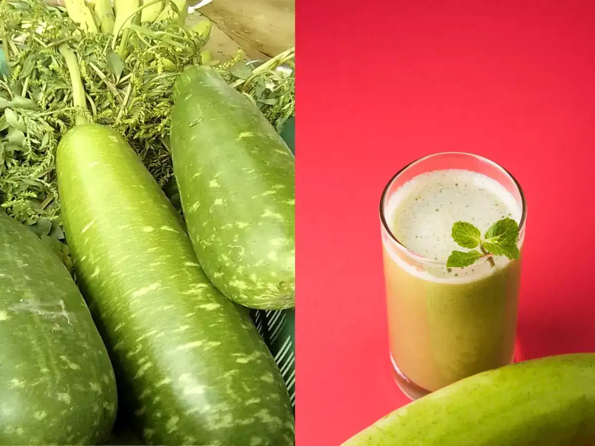 Not your ordinary vegetable: Study reveals 7 incredible facts about lauki that may make you think twice before ignoring it 