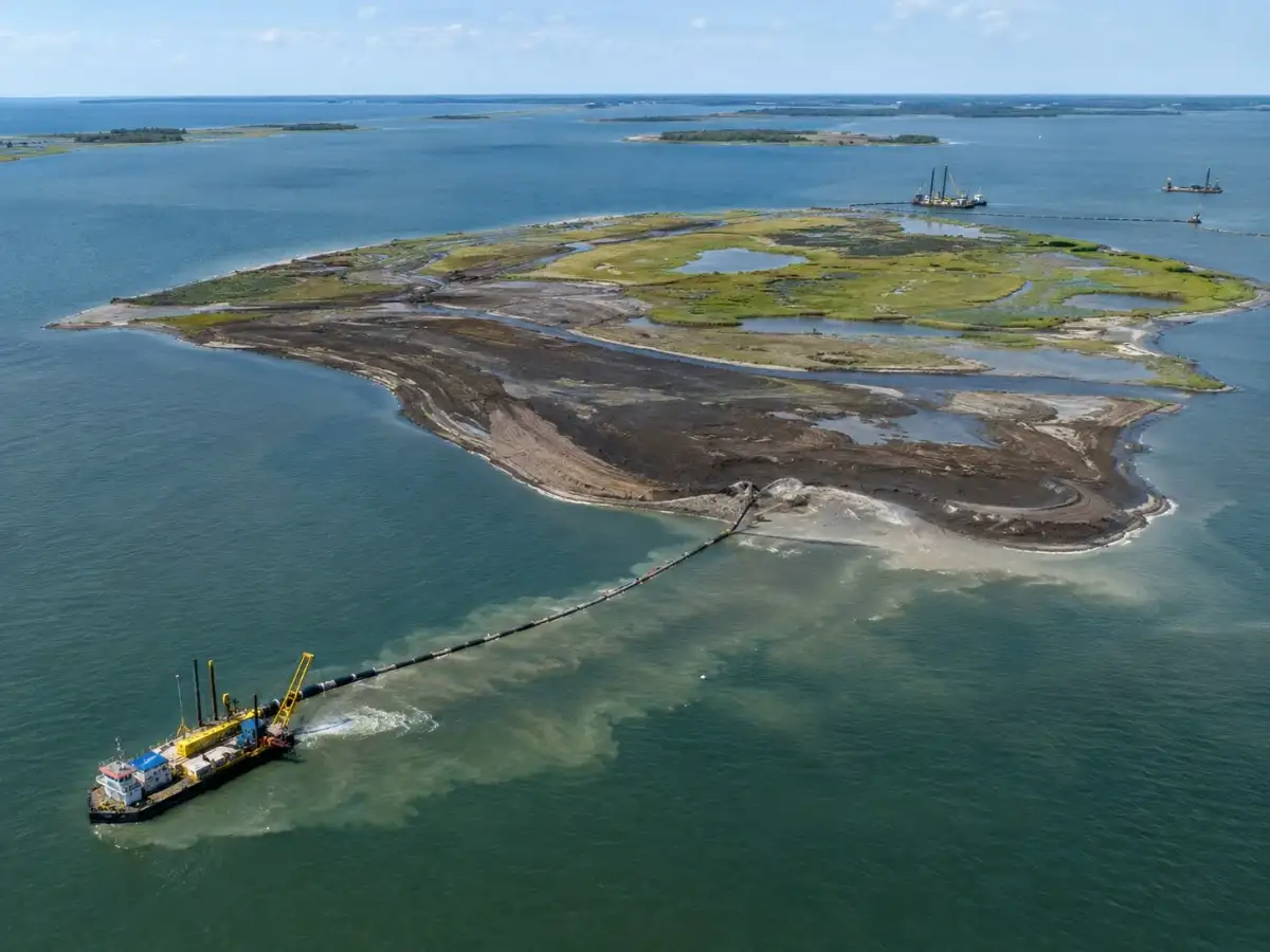 In 2019, Maryland pumped 60,000 cubic yards of dredged mud onto eroding Swan Island; the material rebuilt about 12 acres of marsh and dunes with 200,000 plants 
