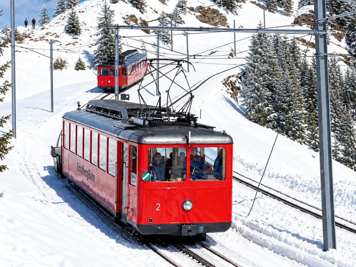 In 1871, Switzerland put a toothed rail between normal train tracks so carriages could climb steep Mount Rigi; 155 years later, the same system still works 