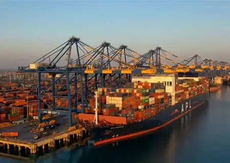 Market Trading Guide: Adani Ports, Rashi Peripherals among 6 stock recommendations for Wednesday
