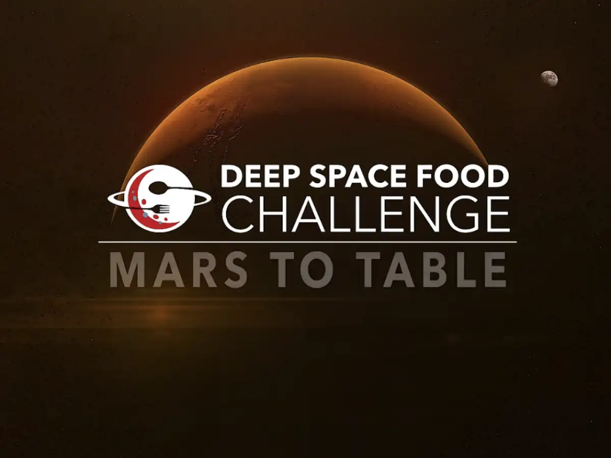 Meet Chinyere Ukeje, the 25-year-old Philadelphia computer scientist who won $300,000 NASA prize for Mars food system 