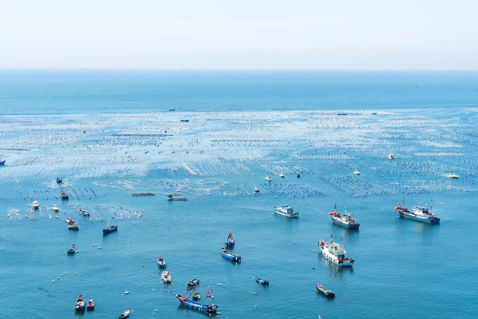 NCM 2.0 launched with Rs 767 cr outlay to protect India’s coasts 