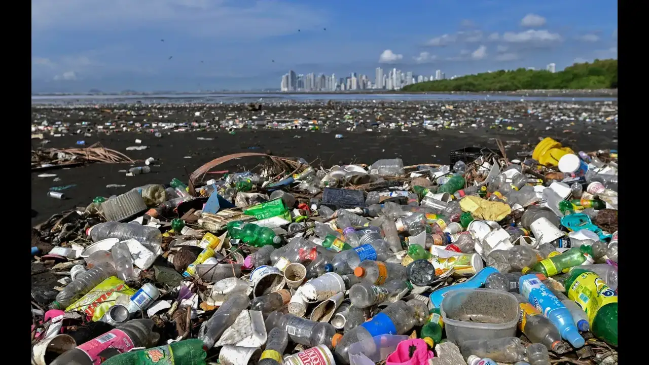 California prepares to add microplastics to Candidate Chemicals List on Oct. 1 