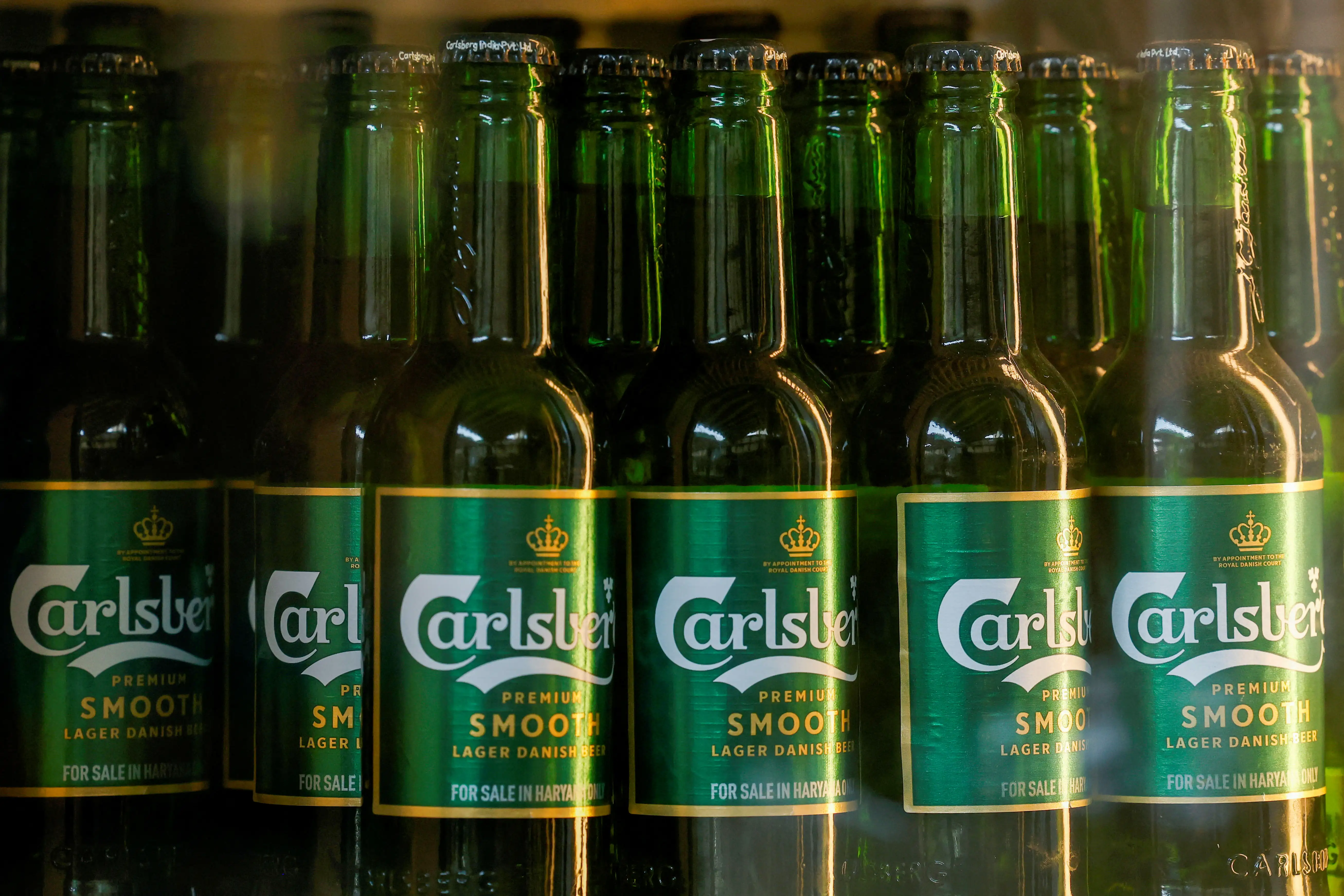 Carlsberg India IPO gets Sebi approval along with three other public offers. Check details