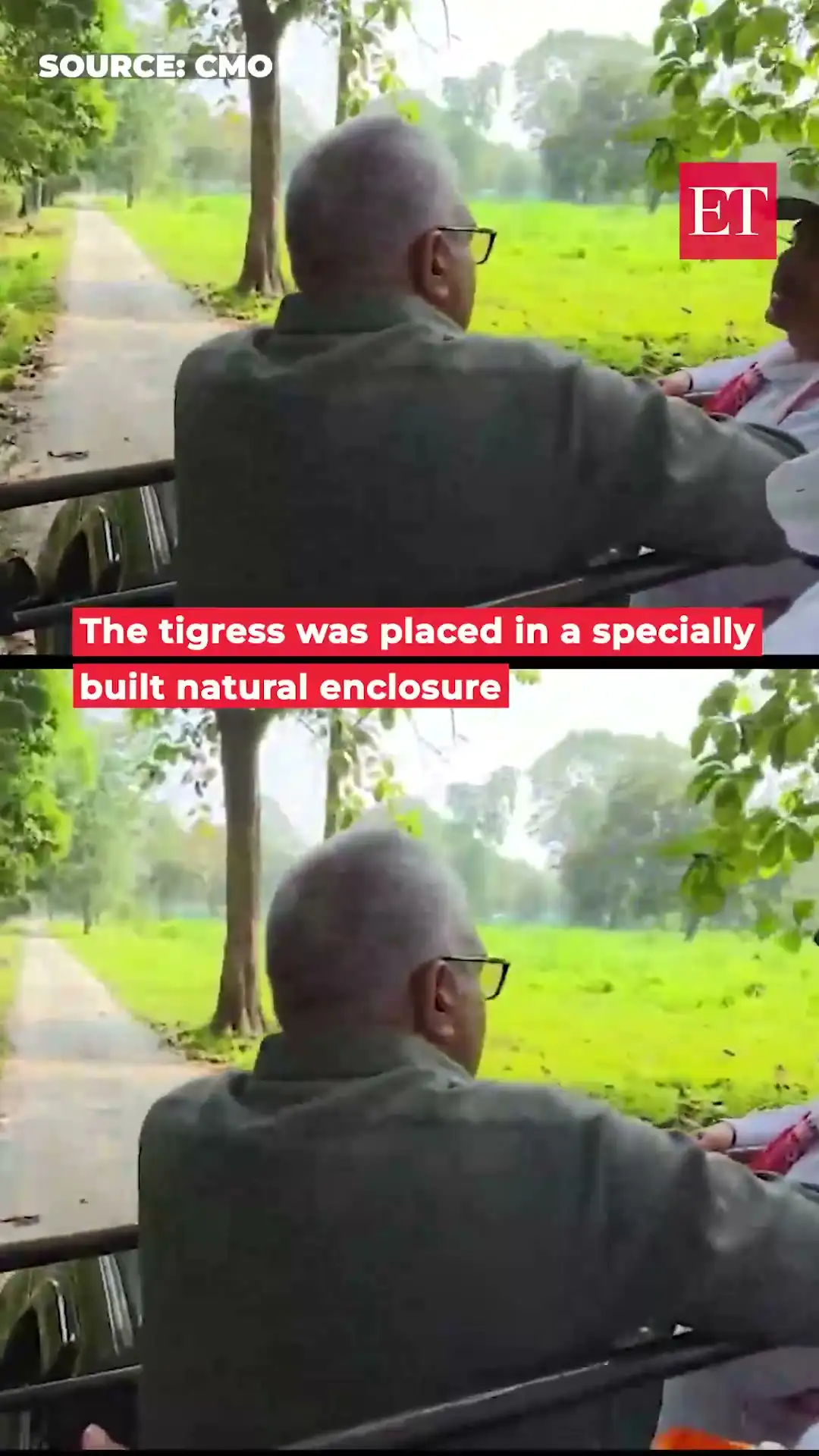 Tigress from Bihar released in Buxa as Bengal begins tiger reintroduction 