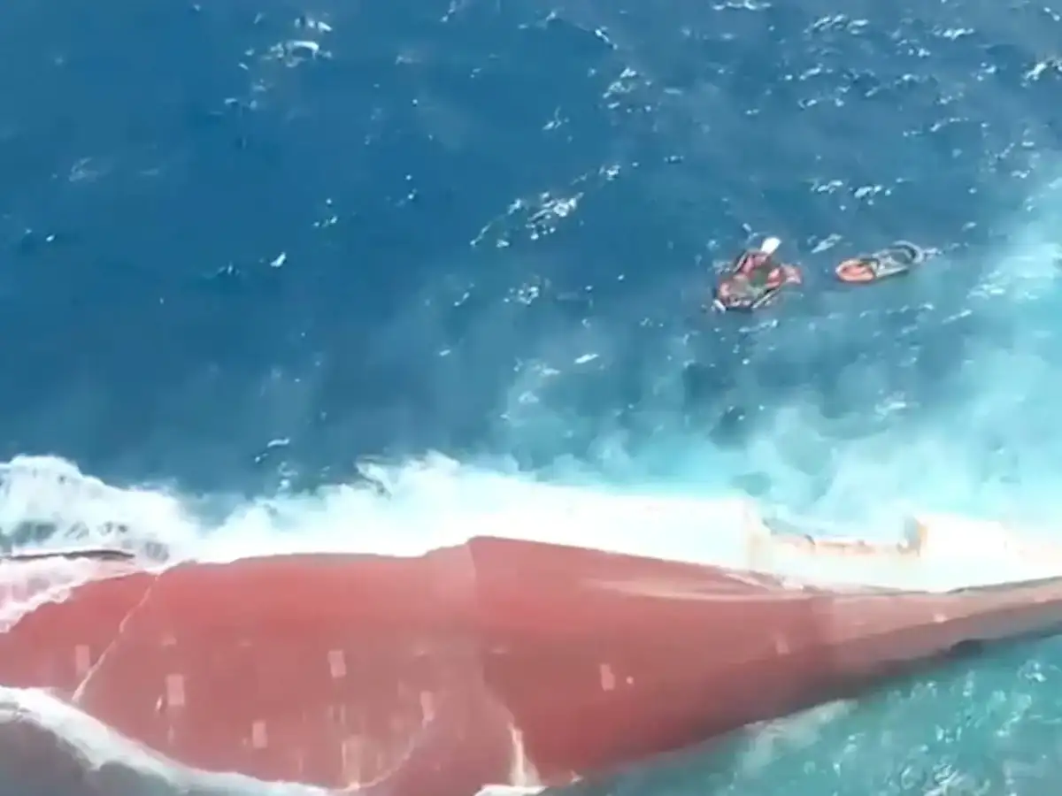 12 years after 32 million smuggled cigarettes were seized on it, ship now hosts barnacles, fish and divers 