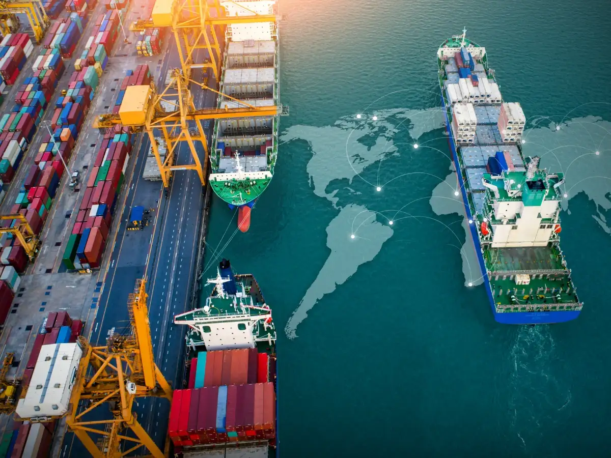 World economic growth to slow to 2.6% in 2026, UN trade body says 