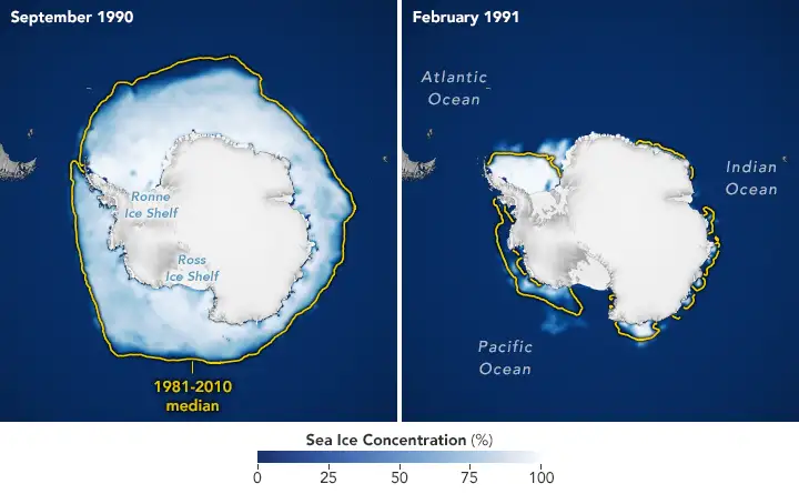 Antarctic sea ice