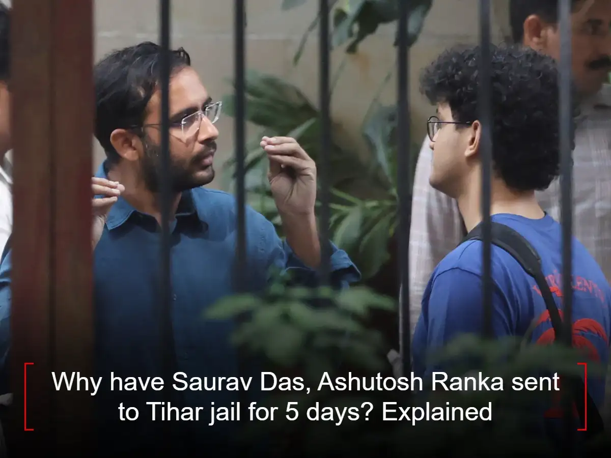 Why CJP's Saurav Das, Ashutosh Ranka have been sent to Tihar jail for 5 days: Cockroach Janta party founders Jantar Mantar arrest case explained 