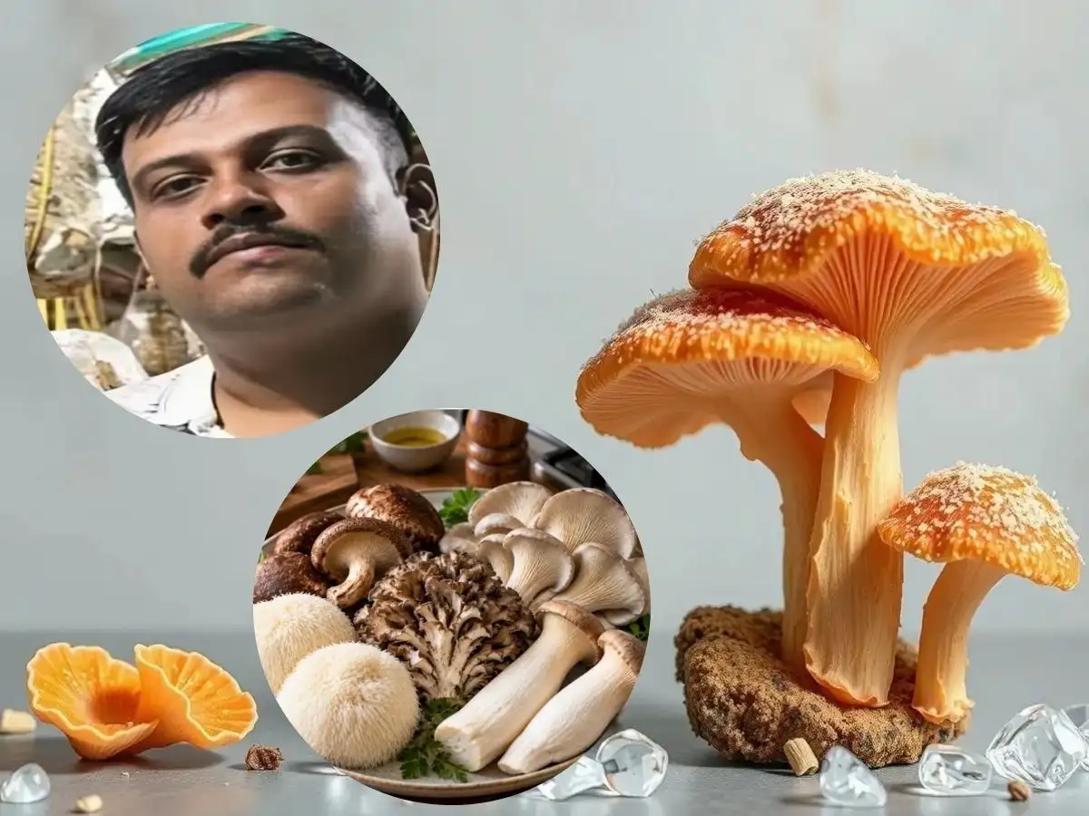 This Bengaluru man rejected Paris job offers to grow mushrooms in an old poultry shed, he now earns Rs 4 lakh a month 
