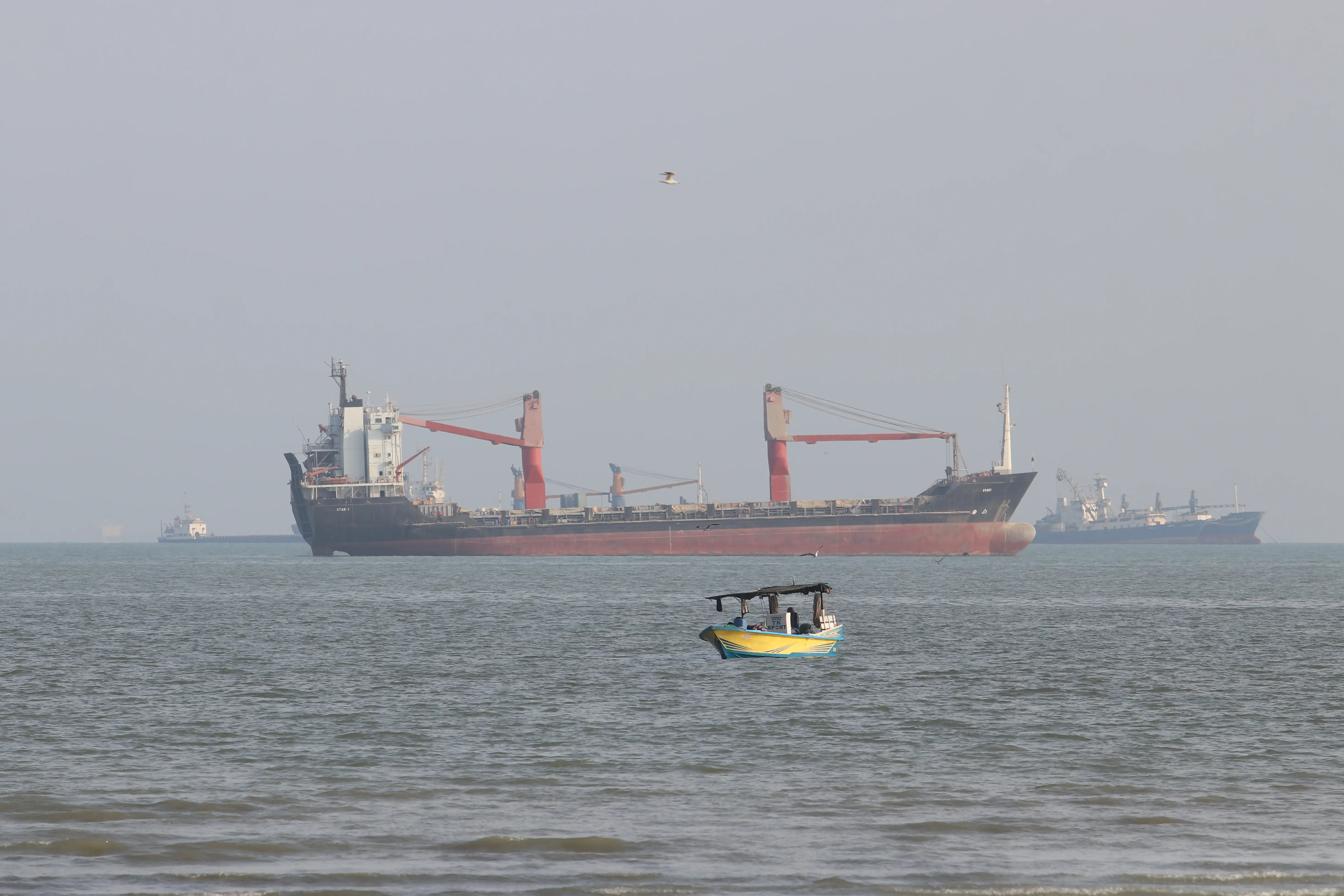 Container ship sinks near Hormuz after being hit by projectile, sources say 