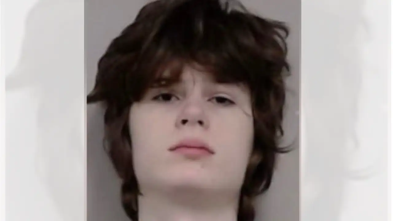US man, 19, arrested over alleged mass shooting plot targeting Hindu temple in Palatine Illinois 
