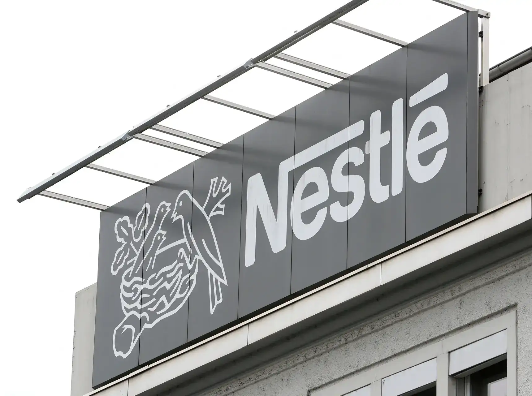 Q2 Results Live Updates: Nestle Q2 profit jumps over 36% YoY to Rs 1,027 crore, revenue rises 20% YoY