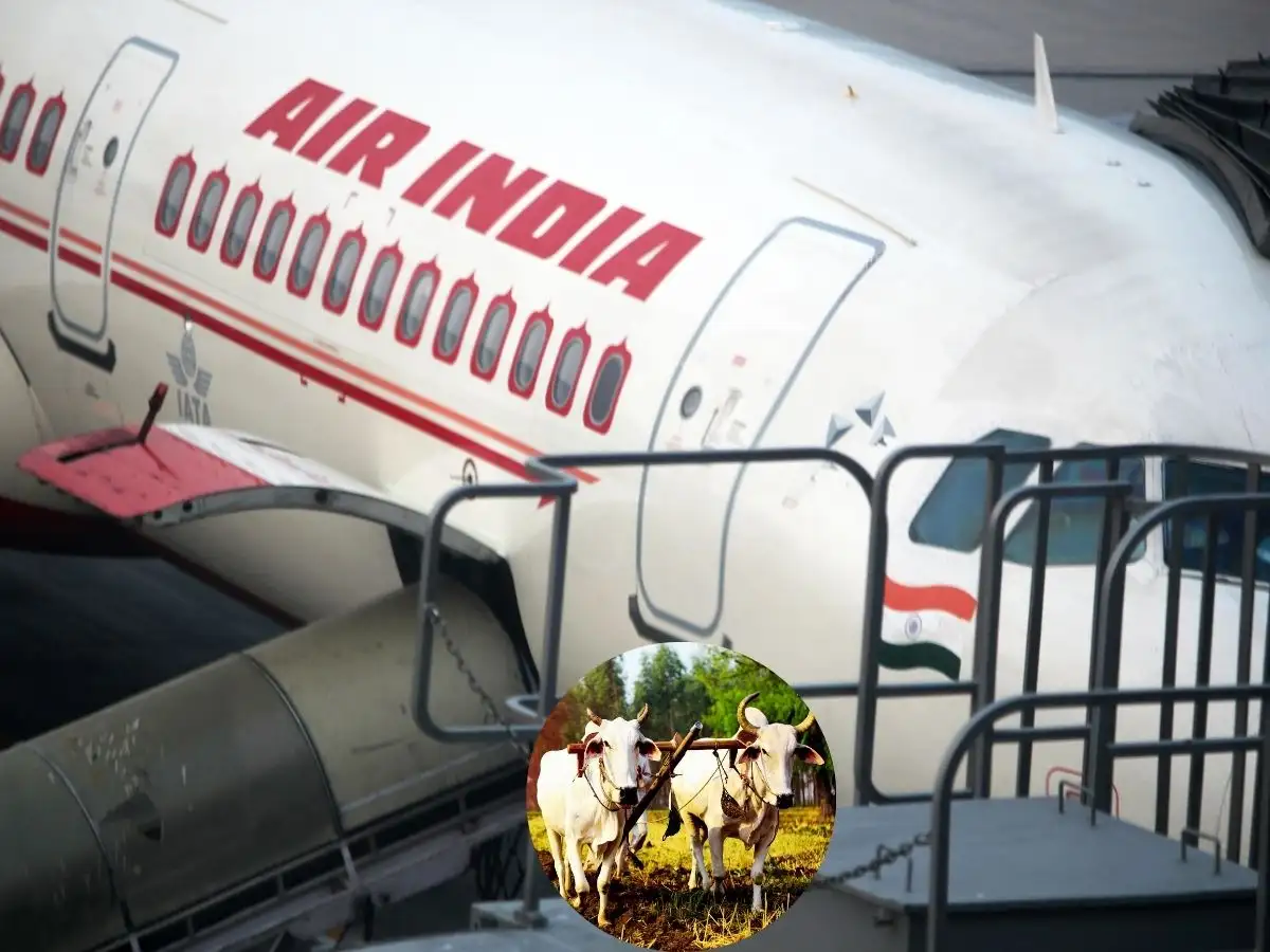 Bullock cart delivered fuel to Air India flight when J.R.D Tata was carrying airmail from Karachi to Bombay; he stopped to refuel at Ahmedabad on October 15, 1932 