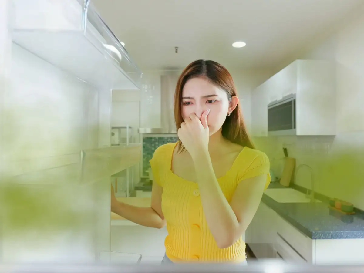 How to remove bad smells from a refrigerator? Try these simple ways to keep it fresh and odour-free 
