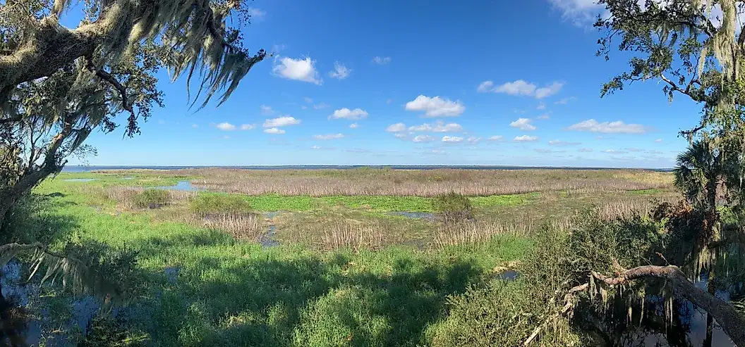 Lake Jesup Lake Jesup