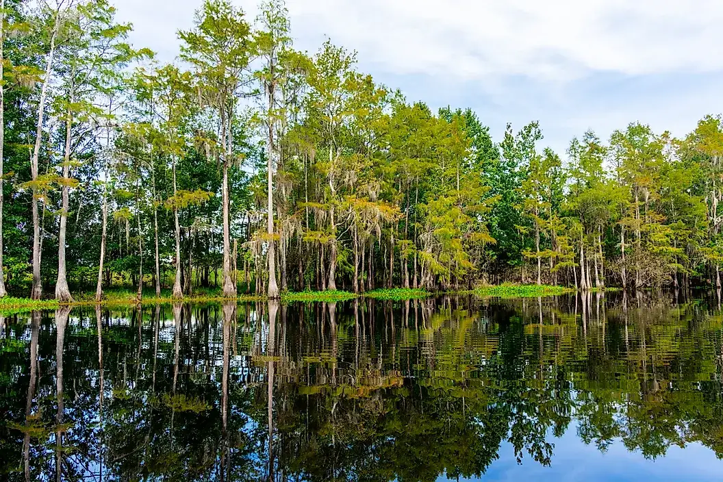 Lake Kissimmee Lake Kissimmee