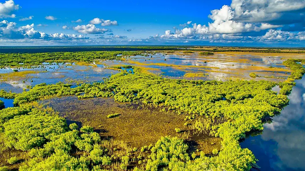 Everglades Everglades