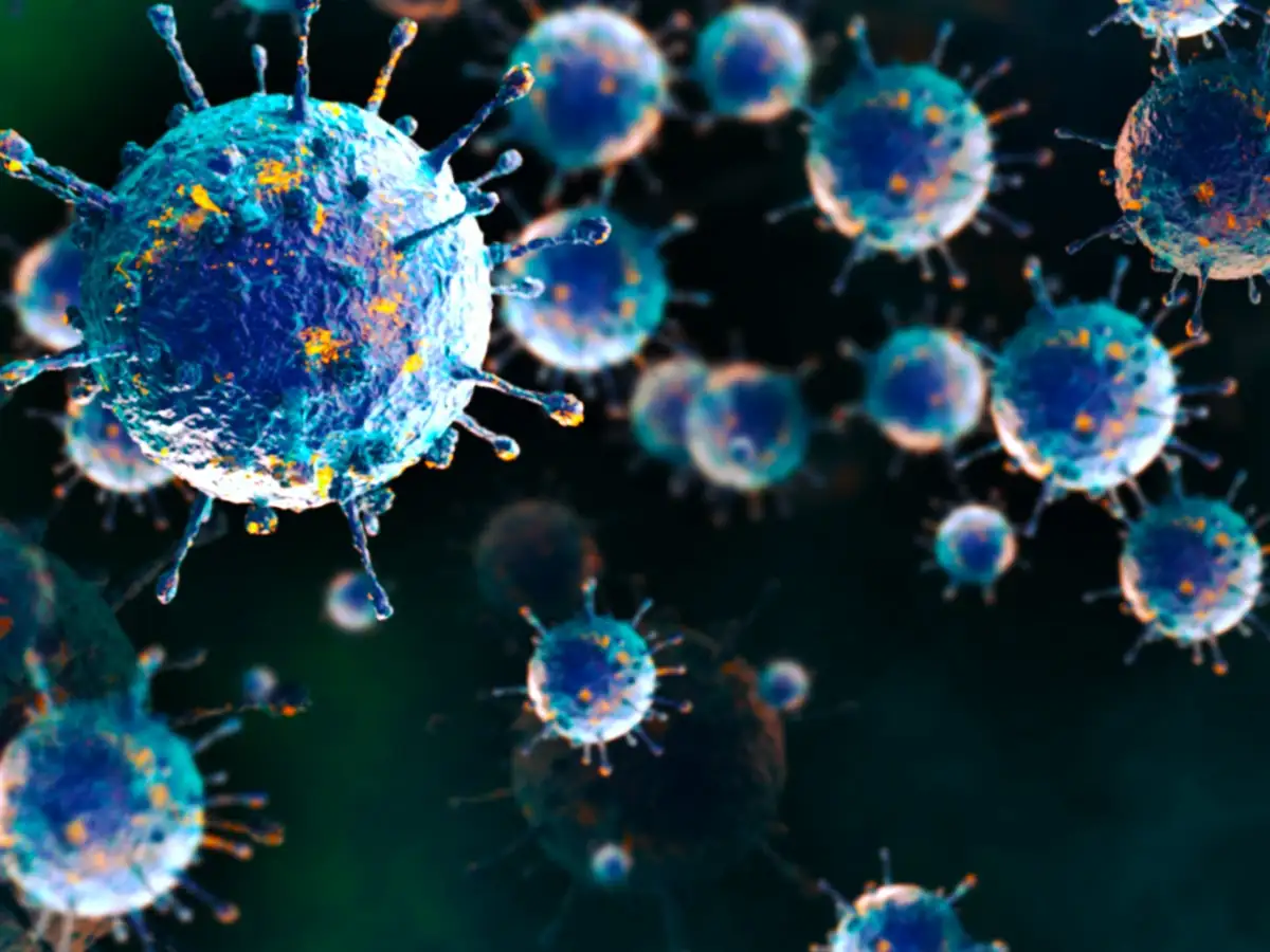 Shamonda virus infection
