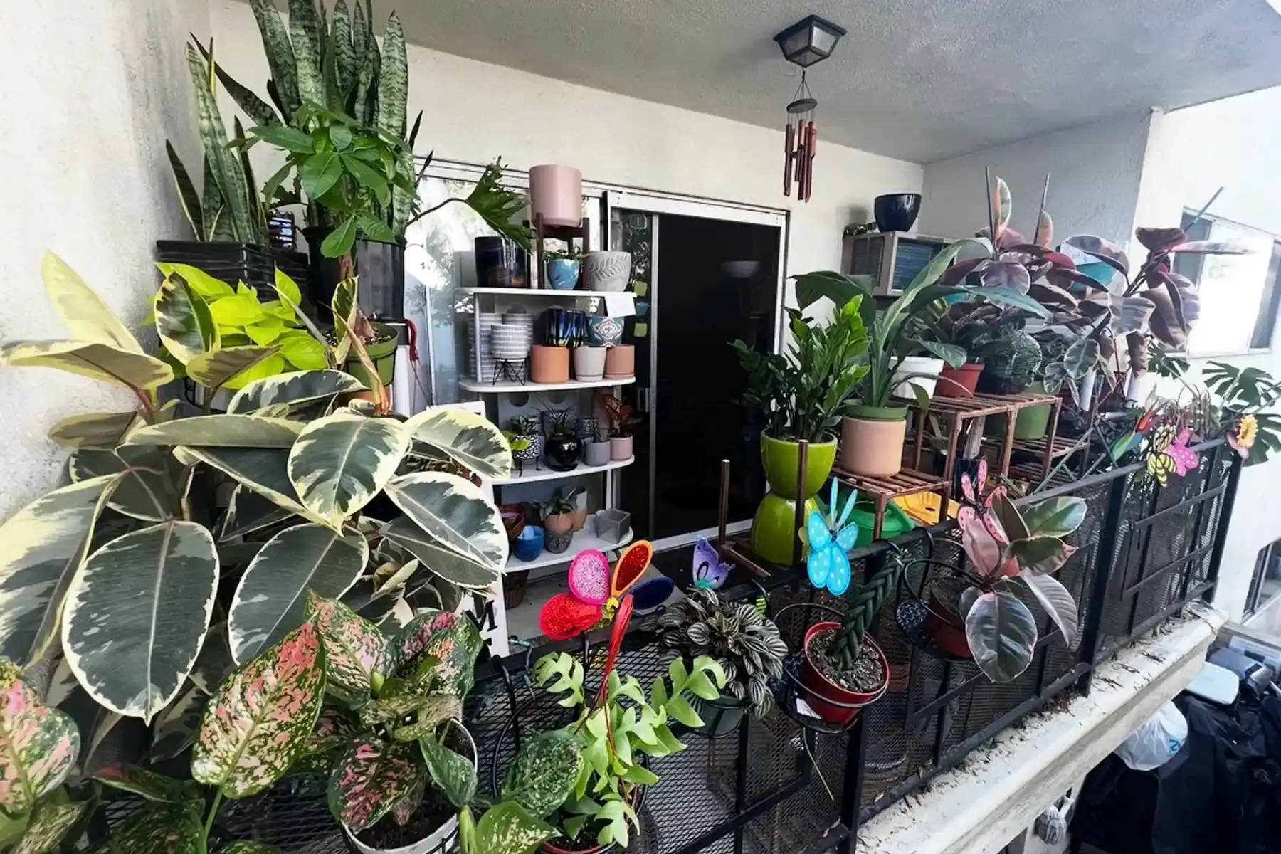 Brandon Hurst's balcony covered in plants