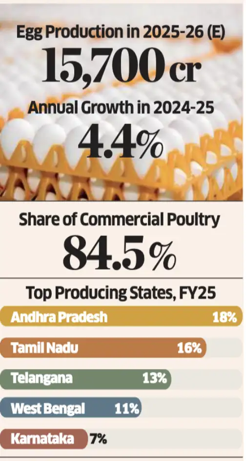 Egg production