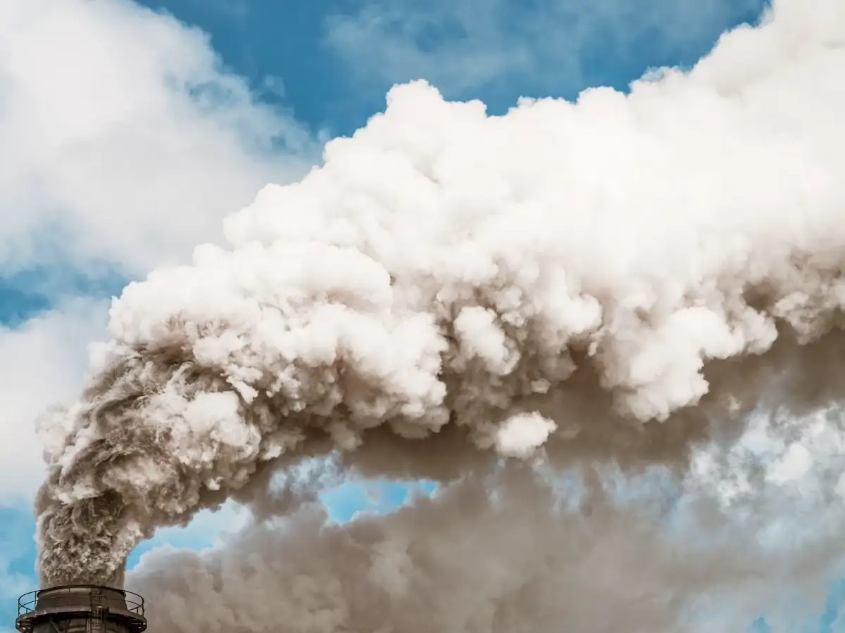 Indian industry has become aware of carbon emissions, says CII’s Narayan Sethuramon 
