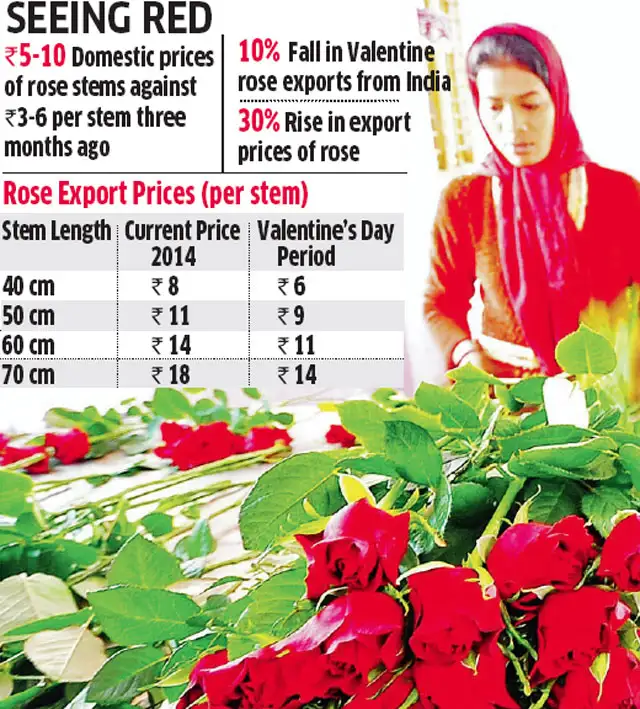 Demand at home pushes flower prices to record high despite fall in Valentine export demand The