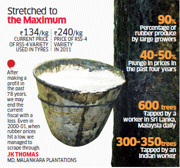 Rubber Indian Farmer S Economic Growth