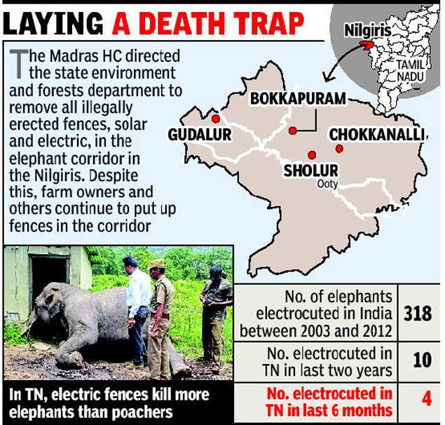 Electric fences kill more tuskers in Tamil Nadu than poachers The