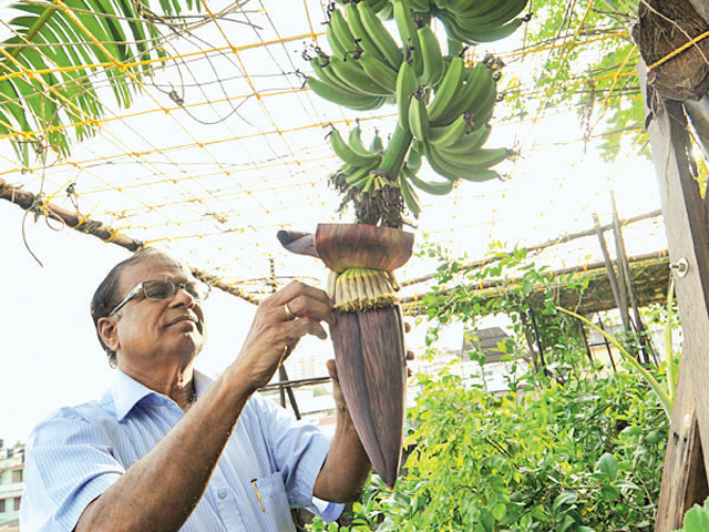 case study of organic farming in kerala