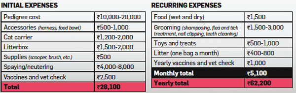 what is the monthly cost of owning a dog