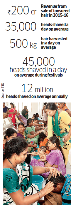 Tirumala's gleaming scalps spell shining prospects for hair business - The  Economic Times