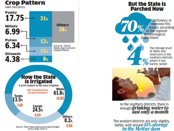 Tamil Nadu dry spell: Crop losses push farmers to the brink of despair ...