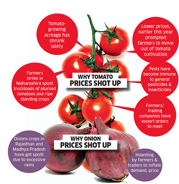 Onion and Tomato prices Why prices of tomatoes surged and why we are