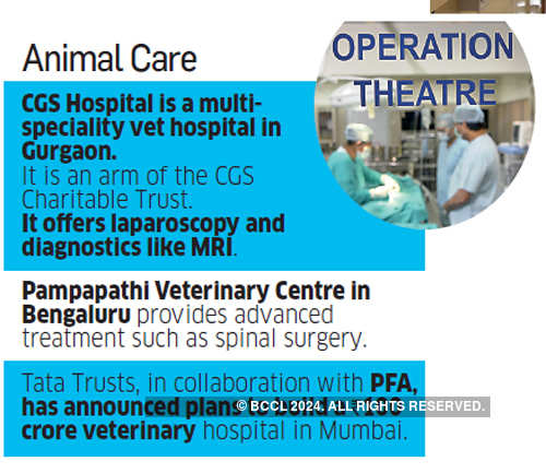 vet hospitals: Pet care comes of age in the country with state-of-the-art vet  hospitals - The Economic Times