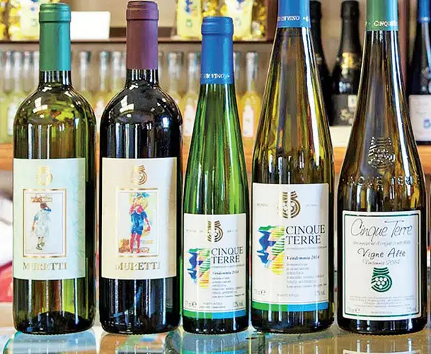 Italy's hidden charm lies in Cinque Terre The Economic Times