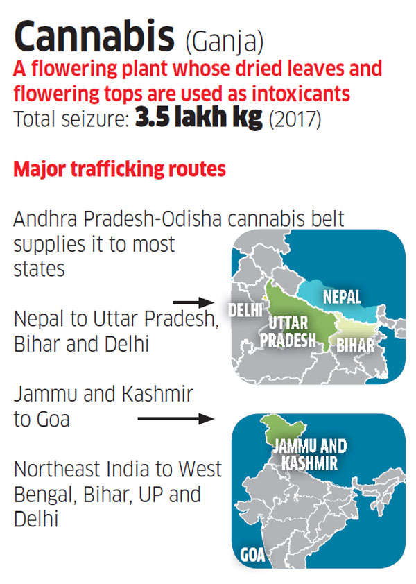 Andhra Pradesh: How drug smugglers are using Google Maps to evade