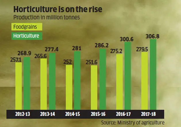 Horticulture As A Horticulture Boom Pushes Up Farm Incomes Here Are Two Key Missing Pieces 