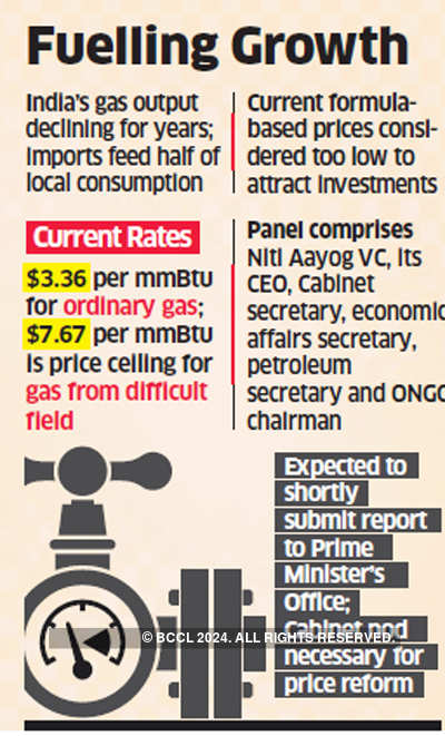 Ongc Niti Aayog Led Panel Mulls Free Market Pricing For All Local