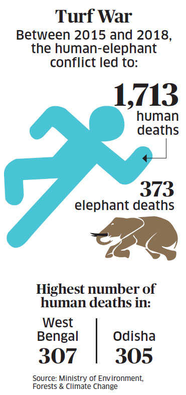 Human Deaths By Animals Chart